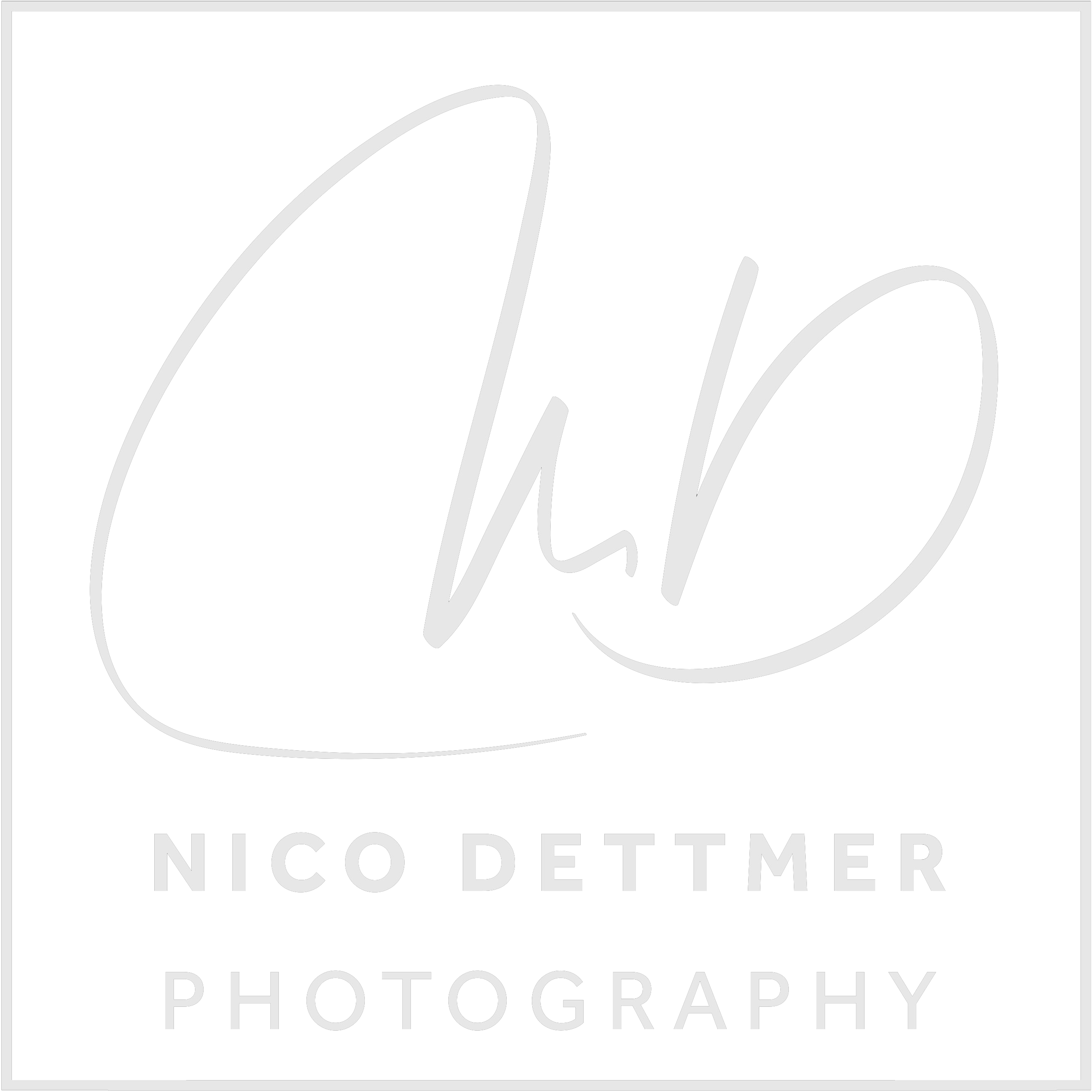 Nico Dettmer
