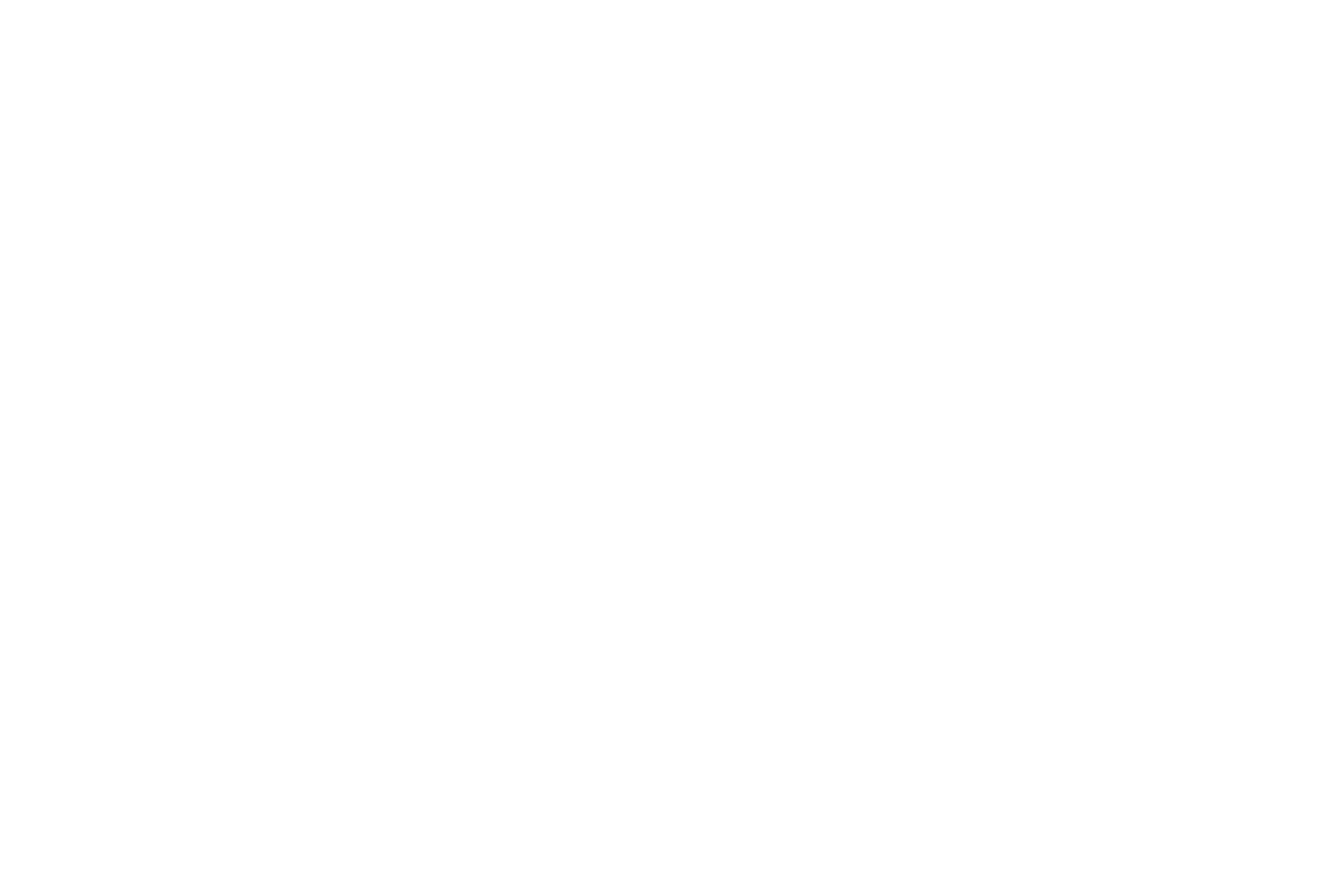 Nico Dettmer